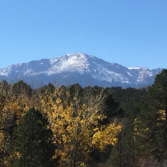 Meet your Posher, Megan - Picture 1 of 1